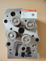 Головка блока в сборе 3811987