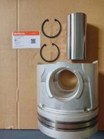 Поршень в сборе 3631241